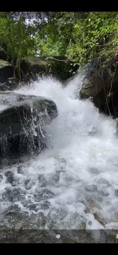 Earth Lounge Resort Vagamon Dış mekan fotoğraf