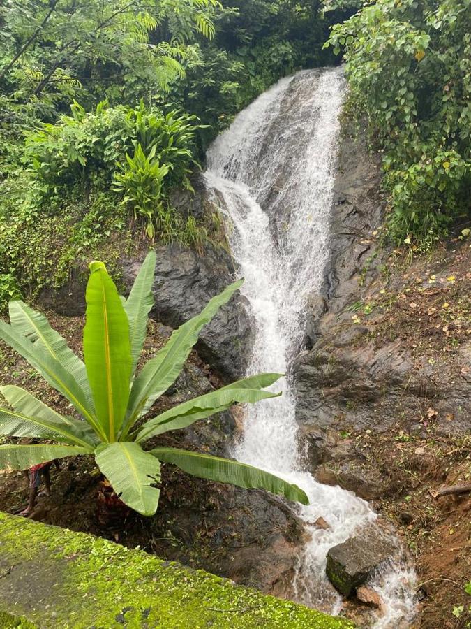 Earth Lounge Resort Vagamon Dış mekan fotoğraf