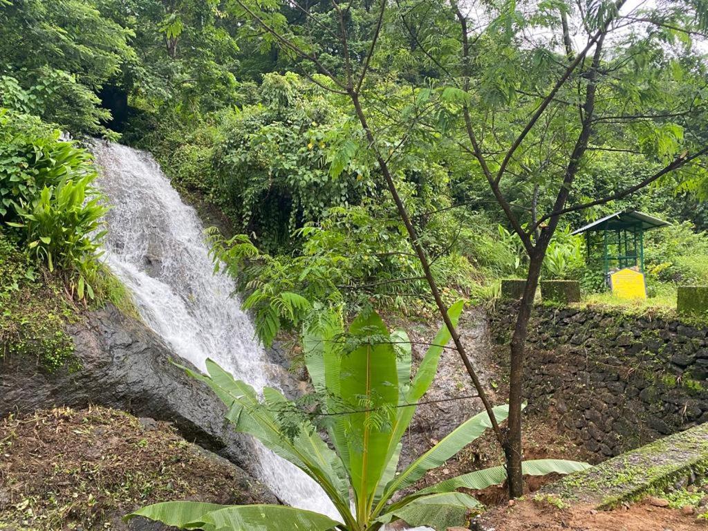Earth Lounge Resort Vagamon Dış mekan fotoğraf